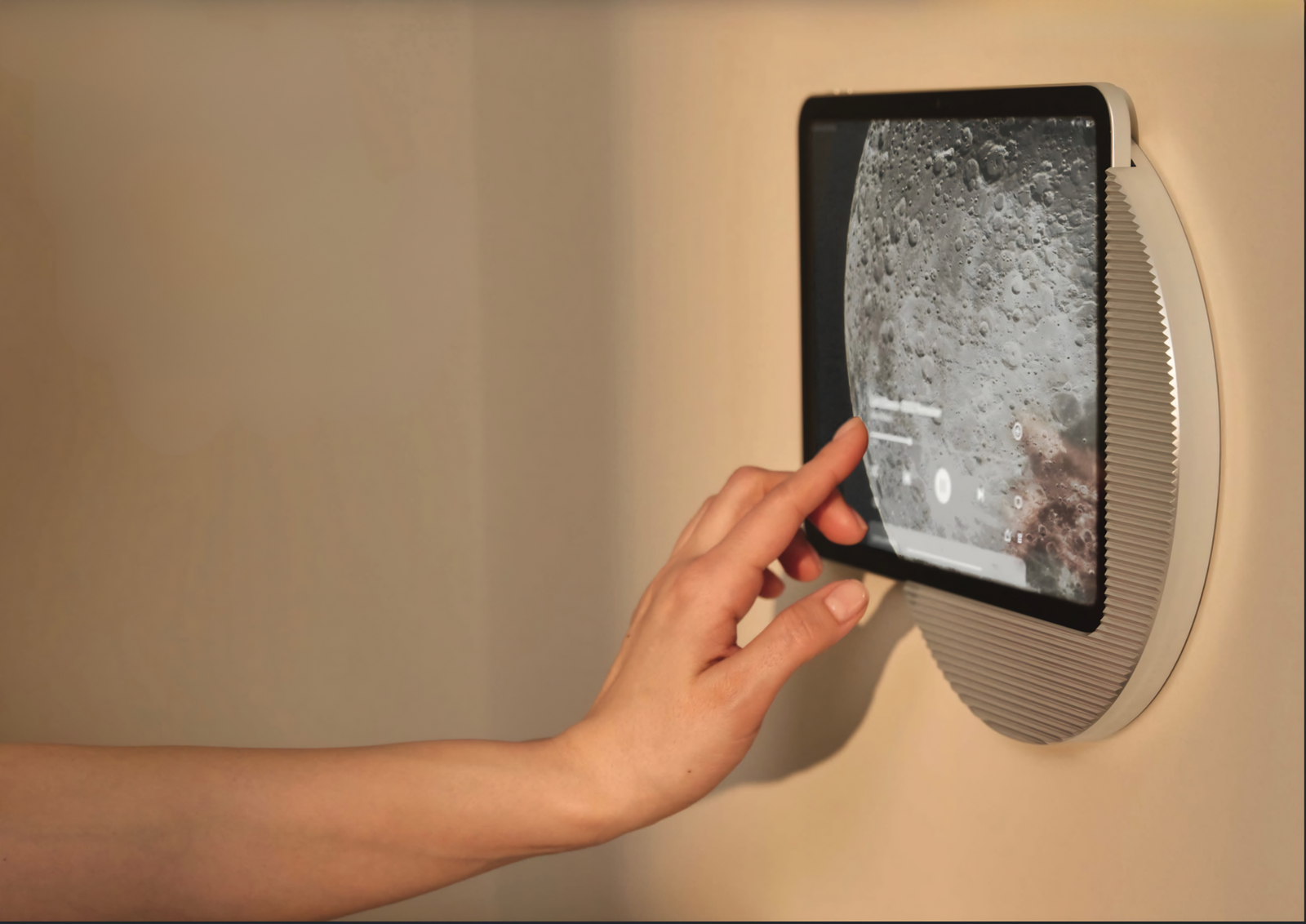 displine wall mount