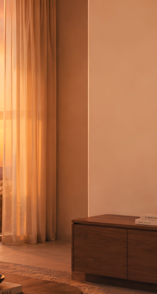 displine wall mount